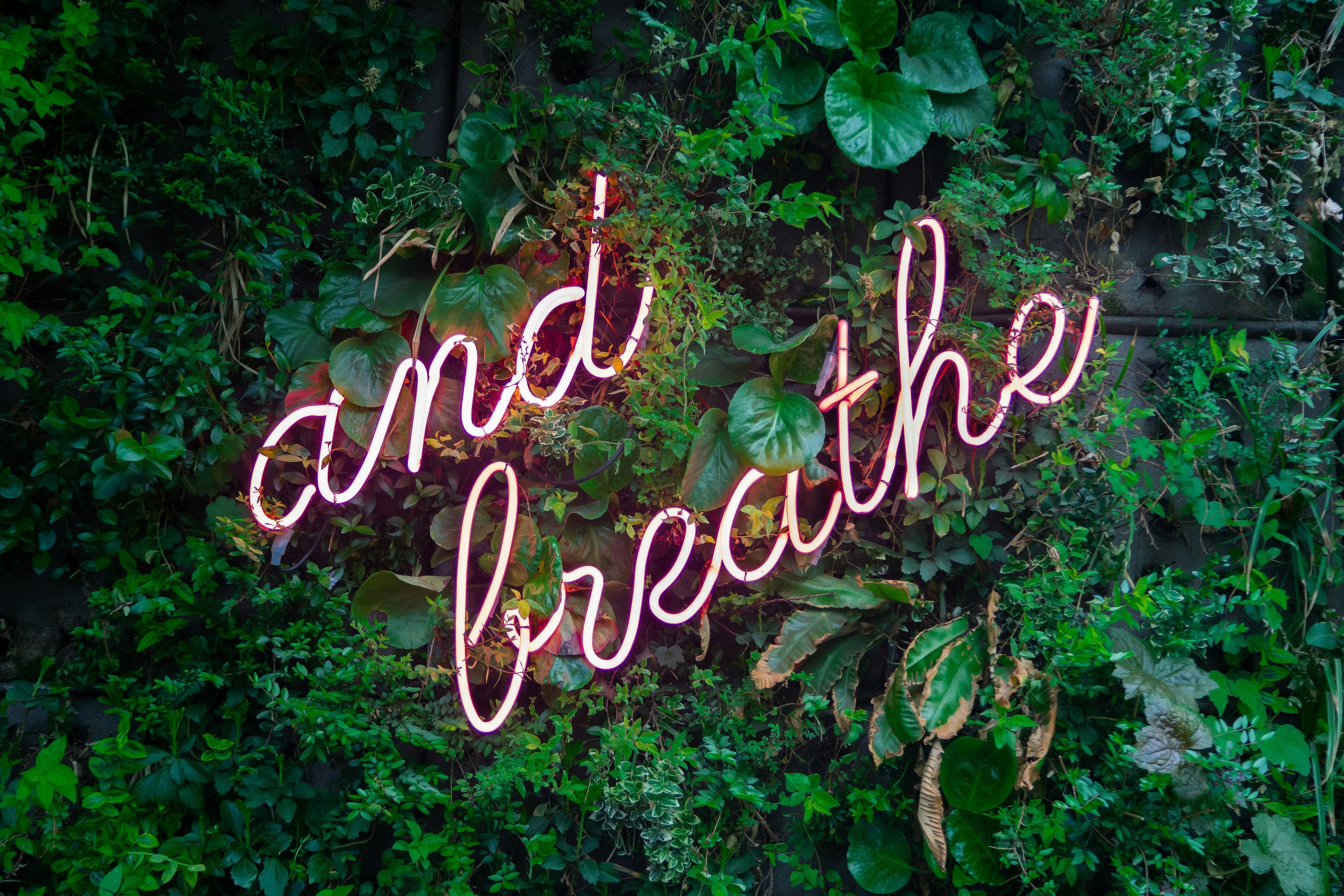 Health & Wellness